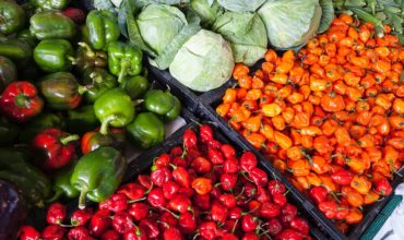 pexels-mark-stebnicki-2252584