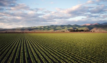 pexels-tim-mossholder-974314